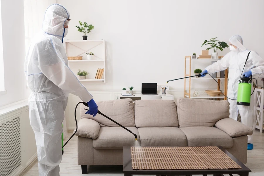 The Role Of Sanitizing Cleaning In Preventing Illnesses in Spring Valley, NY The Role Of Sanitizing Cleaning In Preventing Illnesses in Spring Valley, NY